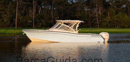 Grady White Freedom 307 scheda tecnica 